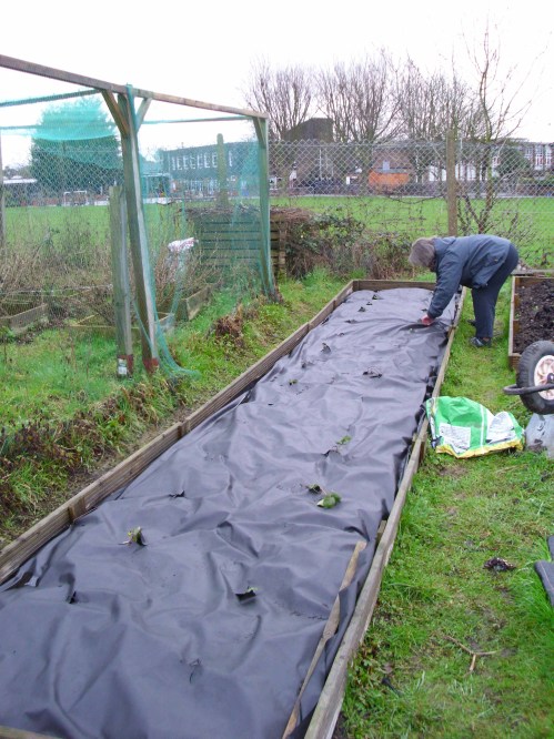 110227 Allotment 007 lo