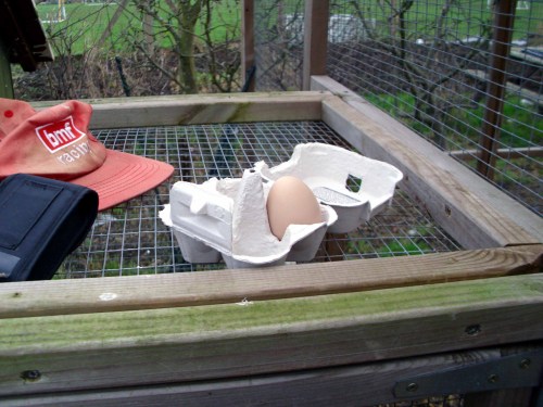 120121 Egg 003a