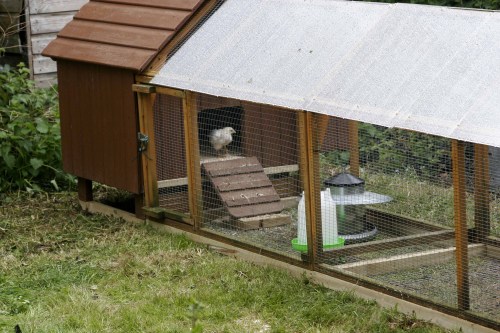 120416 Maggie 6 018a