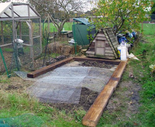 121029 Chickeneering 002a