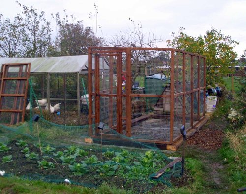 121029 Chickeneering 006a