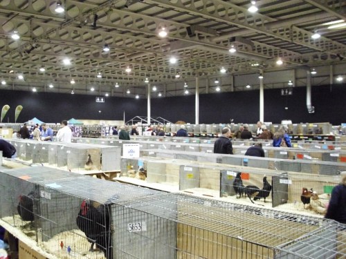 This picture was taken mid-afternoon, and shows how quiet it all was