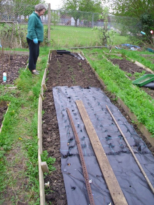 Allotment 002a