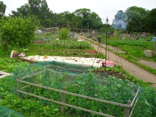 The "new bit" is almost fully planted now