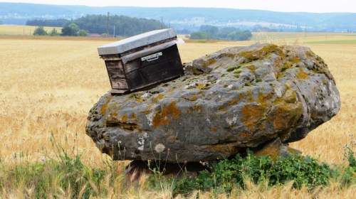 This rather modestly sized dolmen is known as Gargantua's Table.  That is indeed a beehive on top of it.  There was an apiary nearby, and we guessed that this hive was placed to catch unexpected swarms.