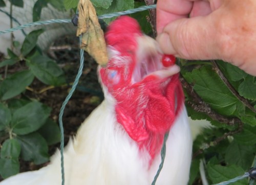 ???????????????????????????????