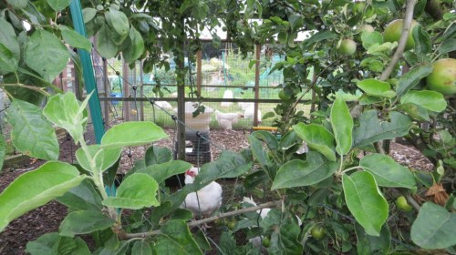 ???????????????????????????????