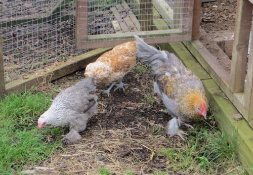 ???????????????????????????????