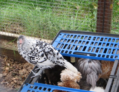 ???????????????????????????????