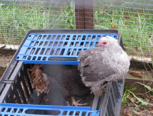 ???????????????????????????????