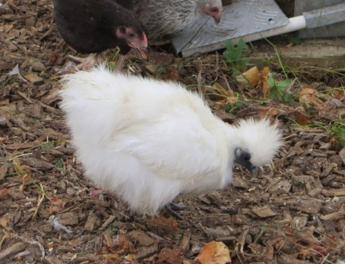 ???????????????????????????????