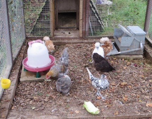 ???????????????????????????????