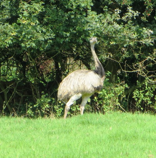 ???????????????????????????????