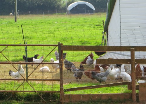 ???????????????????????????????