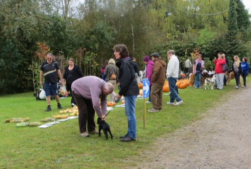 This year has been really great for pumpkins and squash.