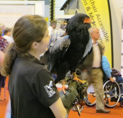 ???????????????????????????????