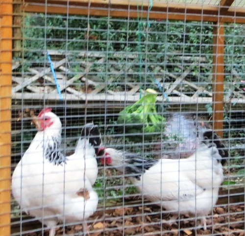 ???????????????????????????????