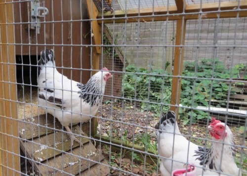 ???????????????????????????????