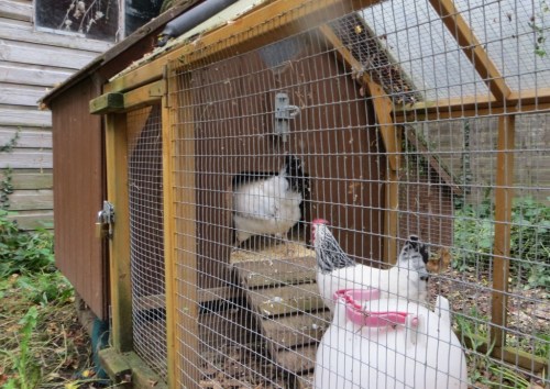 ???????????????????????????????