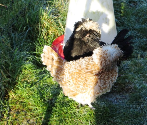 ???????????????????????????????