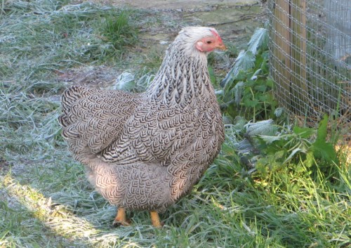 ???????????????????????????????