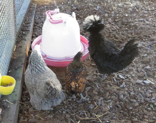 ???????????????????????????????