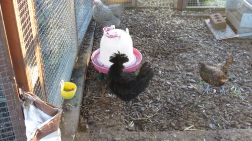 ???????????????????????????????