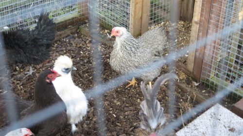 ???????????????????????????????