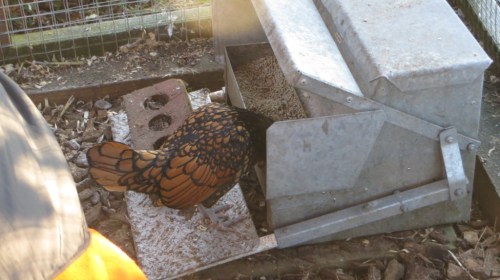 ???????????????????????????????