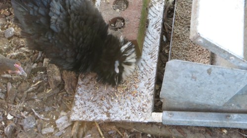 ???????????????????????????????