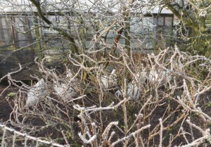 ???????????????????????????????