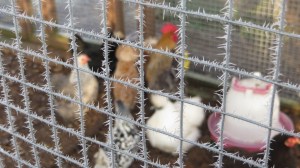 ???????????????????????????????