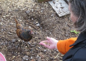 ???????????????????????????????