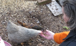 ???????????????????????????????