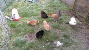 ???????????????????????????????