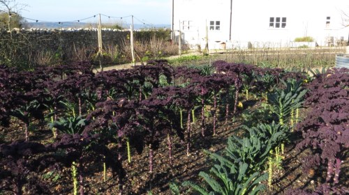 ???????????????????????????????