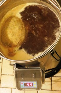 We used hop bags after reading that loose hops can clog the filter.  In any case, the bags are cleaner and easier to handle.