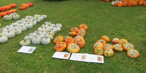 ... including some quite exotic ones.