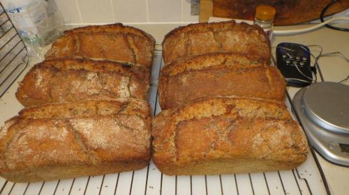 Sourdough 007a