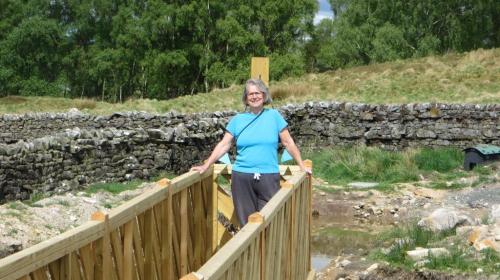 160523 Herding Hill 013a