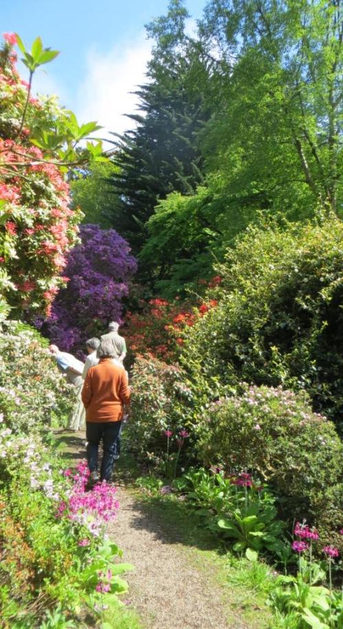 160523 Herding Hill 035a