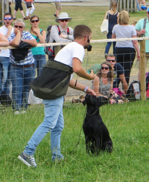Game Fair 051a